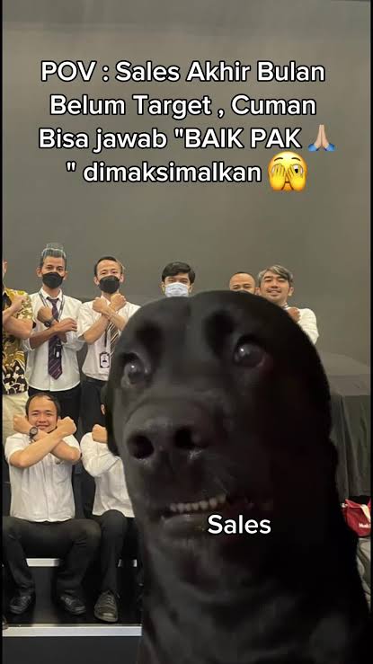 meme tentang sales