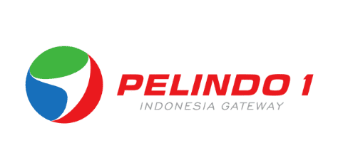 Pelindo I